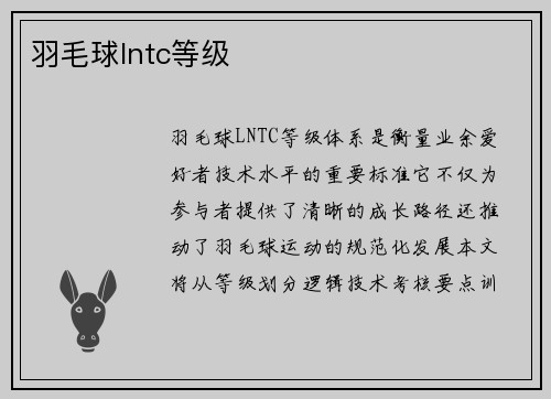 羽毛球lntc等级